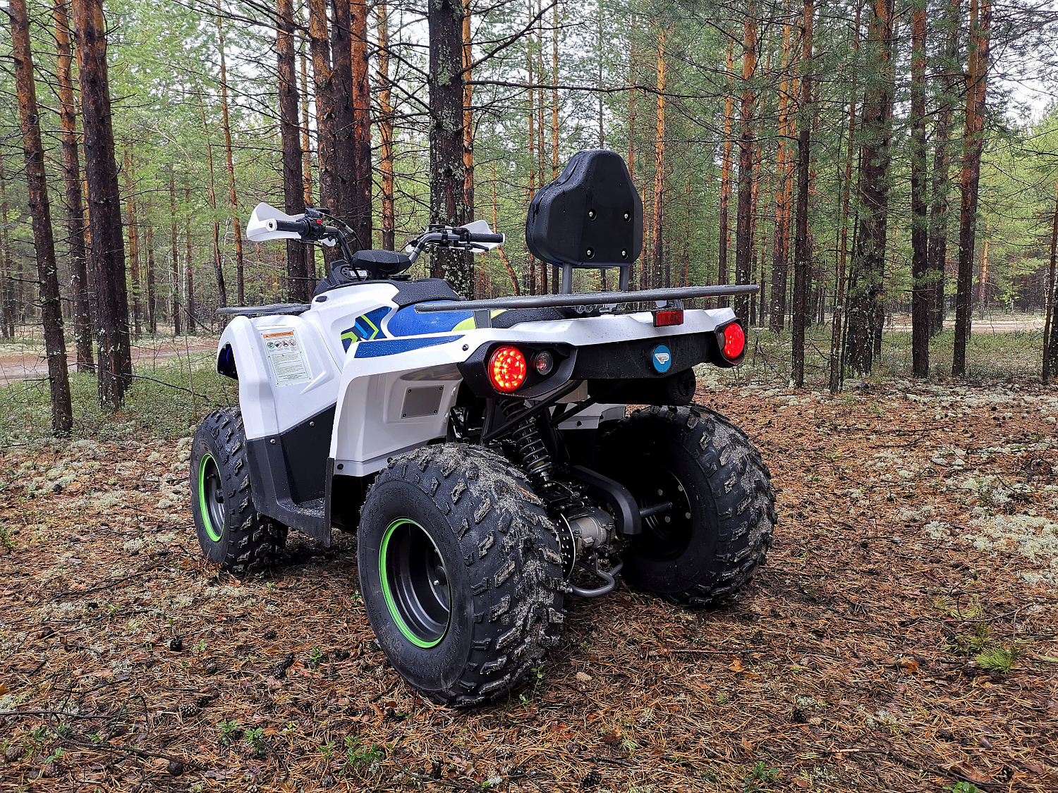 Квадроцикл PROMAX RENEGADE 280 (2025) в Северске
