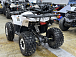 Квадроцикл PROMAX WILD 2.0 190 LUX в Северске