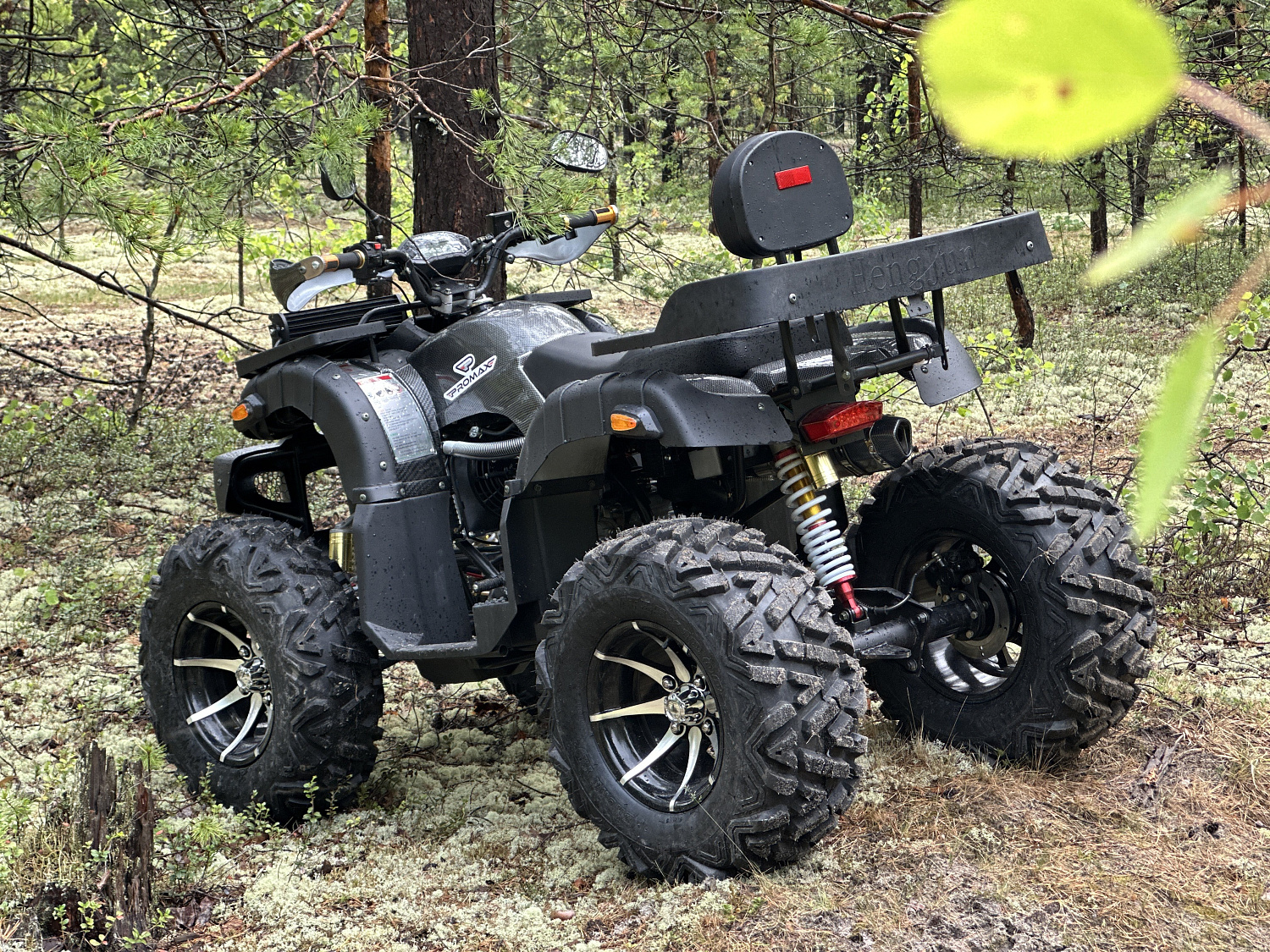 Квадроцикл PROMAX 320 DOMINATOR (2025) в Северске