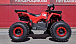 Квадроцикл PROMAX WILD 175 BASIC в Северске