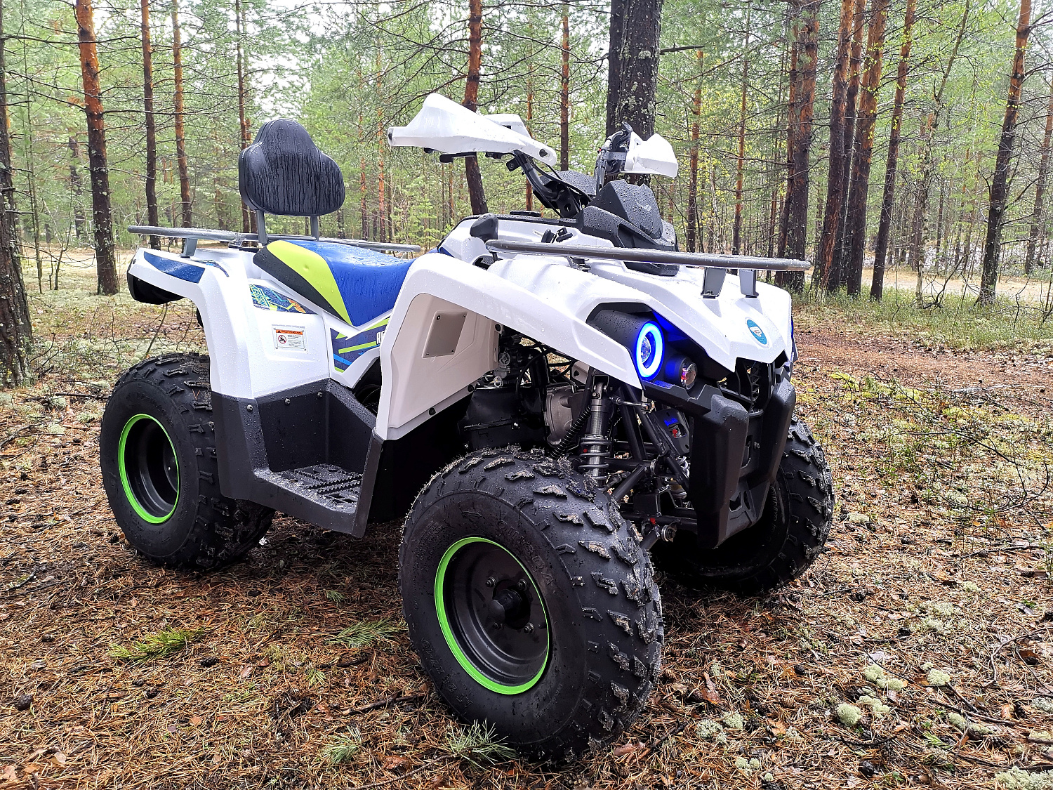 Квадроцикл PROMAX RENEGADE 280 (2025) в Северске