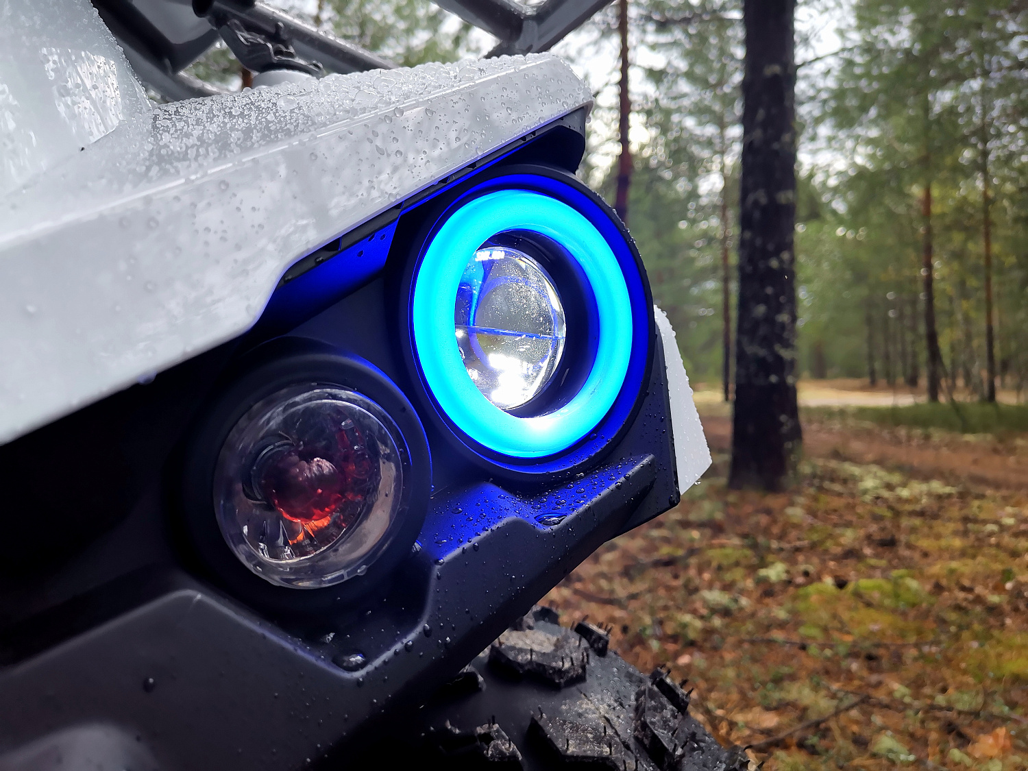 Квадроцикл PROMAX RENEGADE 280 (2025) в Северске