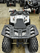 Квадроцикл PROMAX WILD 2.0 190 в Северске