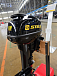 Лодочный мотор STELS 9.9HP в Северске