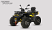 Квадроцикл PROMAX TAURUS 300 MAX-PRO LONG в Северске